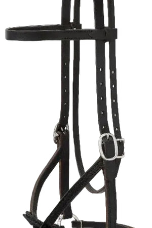 A black bitless bridle with straps and buckles, designed for horses.