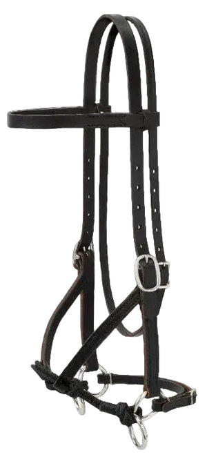 A black bitless bridle with straps and buckles, designed for horses.
