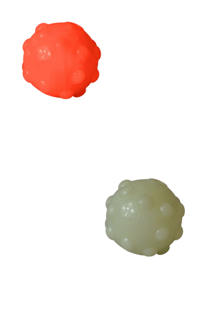 Jolly_Jumper