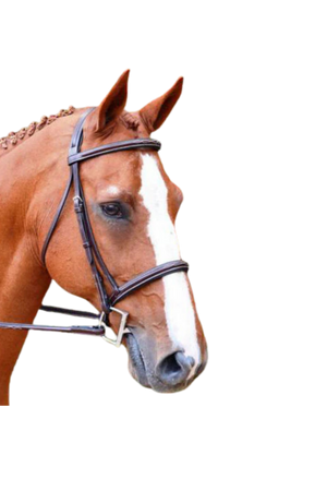 KL_Aster_Bridle_Fancy_Padded