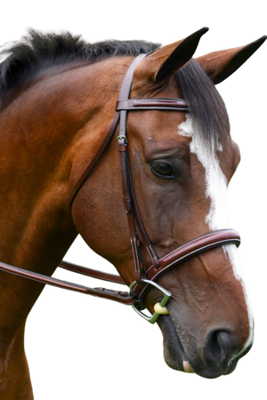 KL_ITALIA_DELMAR_BRIDLE