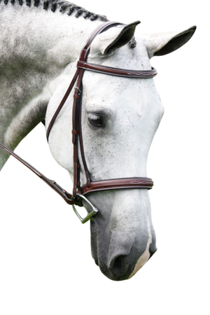 KL_ITALIA_MIDDLEBURG_BRIDLE