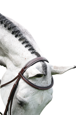 KL_ITALIA_MIDDLEBURG_BRIDLE
