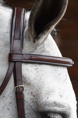 KL ITALIA MIDDLEBURG BRIDLE