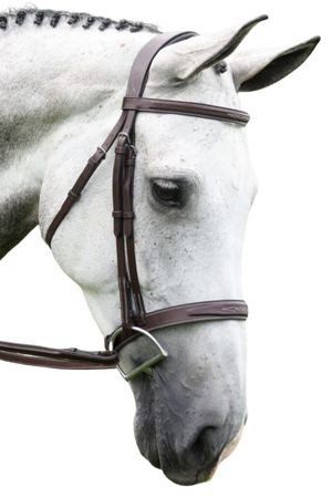 KL Indio Bridle Unpadded