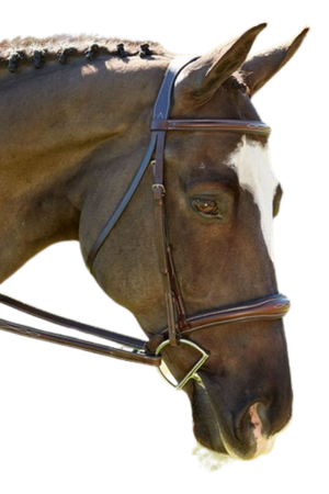 KL_Italia_Wellington_BridleDISC