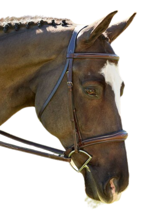 KL_Italia_Wellington_BridleDISC