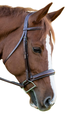 KL_Ocala_Bridle_Tapered_Nose