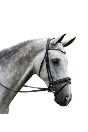 KL_Pace_Dressage_Bridle