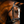 KL_Pace_Dressage_Bridle