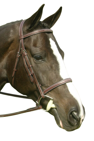 KL_Sovereign_Bridle_Round_Raised