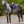 Lemieux_Air-Tek_Mesh_Close_Contact_Square_Pad-S26