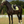 Lemieux_Air-Tek_Mesh_Close_Contact_Square_Pad-S26