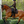 Lemieux_Brilliance_Dressage_Pad