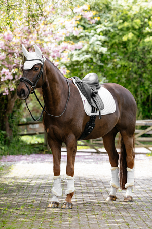 Lemieux_Brilliance_Dressage_Pad
