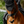 Lemieux_Brilliance_Fly_Hood