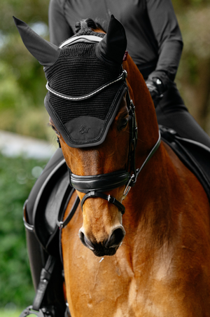 Lemieux_Brilliance_Fly_Hood
