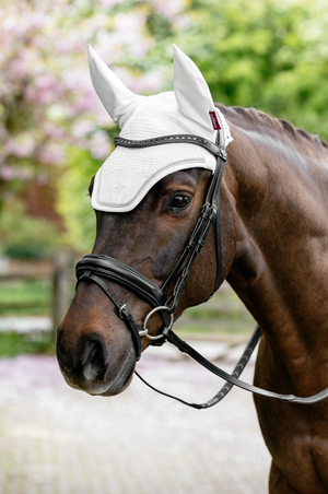 Lemieux_Brilliance_Fly_Hood