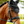 Lemieux_Brilliance_Fly_Hood