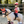Lemieux_Harlow_Toy_Rider_Coral_Crush