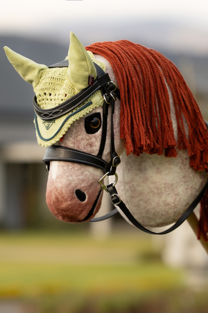 Lemieux_Hobby_Horse_Fly_Hood