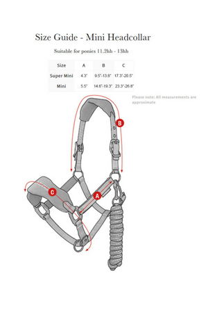 Lemieux Mini Vogue Halter & Leadrope