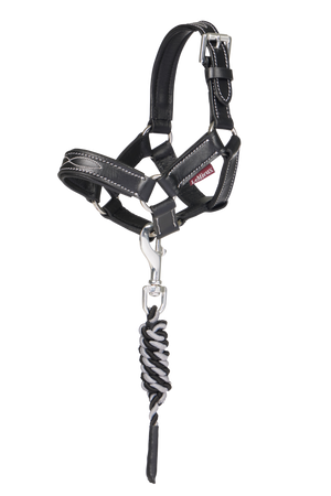 Lemieux_Toy_Pony_Leather_Headcollar__Leadrope