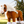 Lemieux_Toy_Pony_Sundance