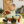 Lemieux_Toy_Pony_Sundance