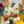 Lemieux_Toy_Pony_Sundance