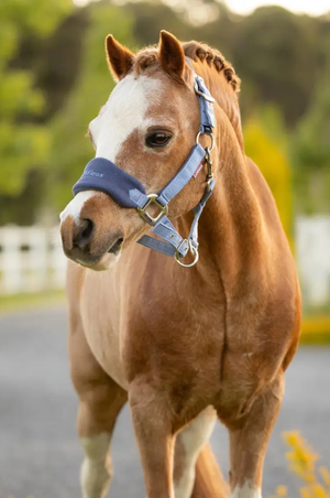Lemieux_Vogue_Halter__Leadrope