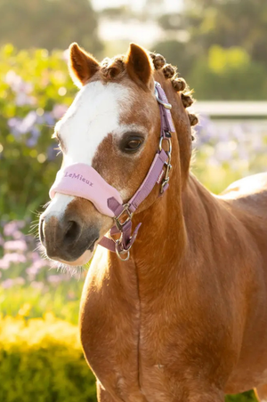 Lemieux_Vogue_Halter__Leadrope