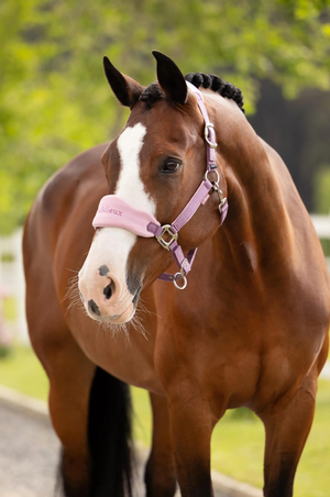Lemieux_Vogue_Halter__Leadrope