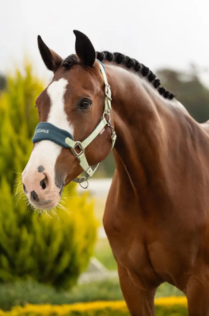 Lemieux_Vogue_Halter__Leadrope