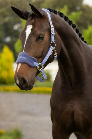 Lemieux_Vogue_Halter__Leadrope