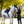 Lemiuex_Brilliance_Close_Contact_Pad