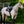 Lemiuex_Brilliance_Close_Contact_Pad