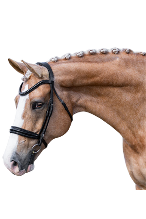 Lumiere_Arcadia_Luxury_Leather_Bridle_Cavesson