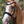 Lumiere_Arcadia_Luxury_Leather_Bridle_Cavesson