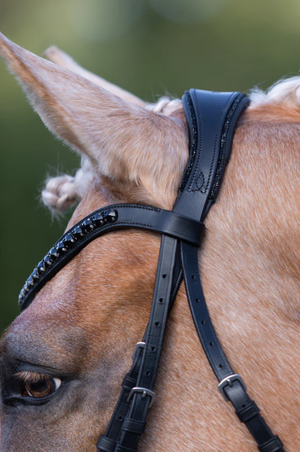 Lumiere_Arcadia_Luxury_Leather_Bridle_Cavesson