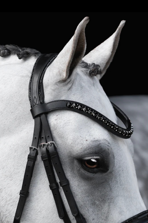 Lumiere_Arcadia_Luxury_Leather_Bridle_Cavesson