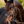 Lumiere_Pia_Grackle_BridleLumiere_Pia_Grackle_Bridle
