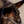 Lumiere_Pia_Grackle_Bridle