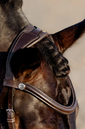 Lumiere_Pia_Grackle_Bridle