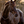 Lumiere_Pia_Grackle_Bridle