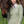 Green sweater with purple accents on a white background