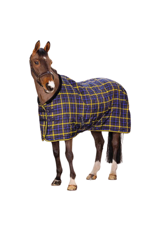 A horse wearing a blue and yellow checkered stable blanket with a fleece lining.
