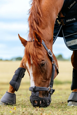 Noma_Grazing_Muzzle