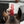 Nova_Professional_Horse_Trimmer