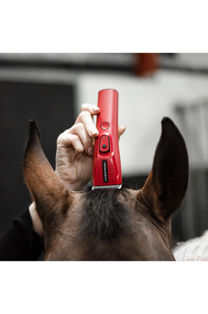 Nova_Professional_Horse_Trimmer